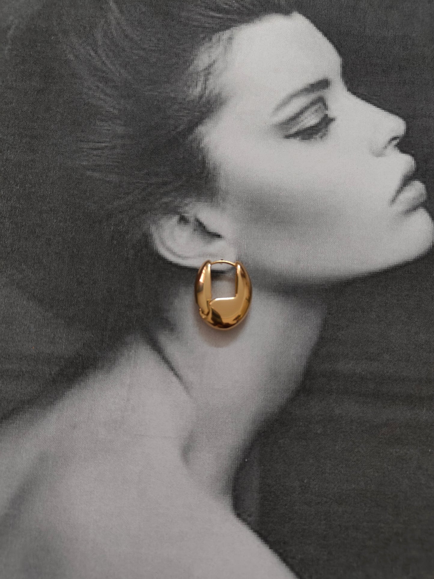GOLDEN ORBIT EARRINGS